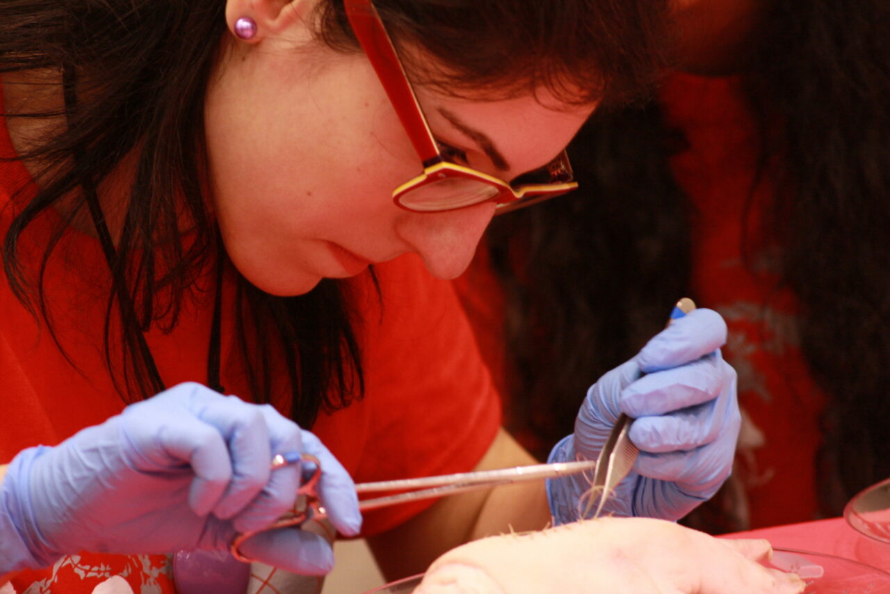Student practicing her suturing skills on a pig’s foot. (Photo: Annelise Miller)
