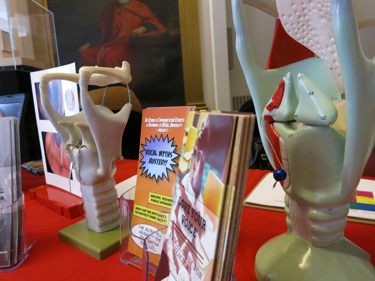 Awareness Booth displaying models of the larynx and pamphlets for distribution. (Photo: Céliane Trudel)