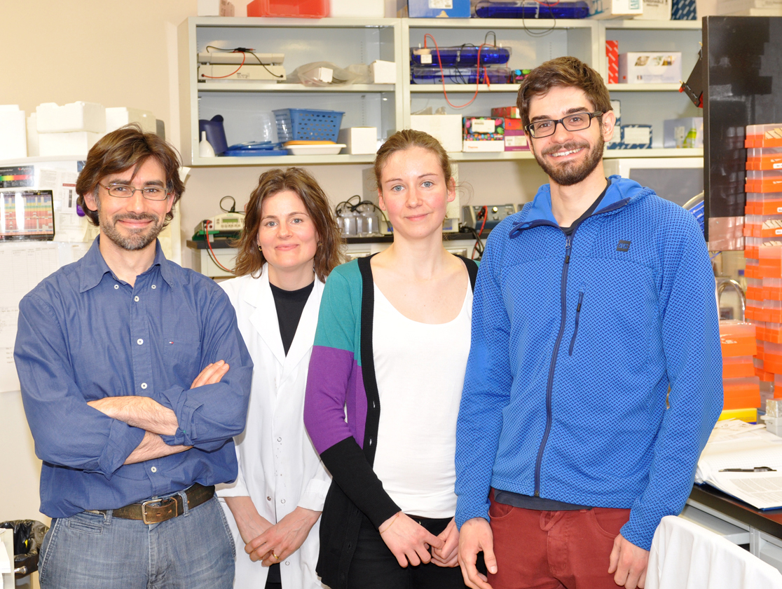 Left to right: Javier M. Di Noia, Astrid Zahn, Ludivine Litzler, Stephen P. Methot