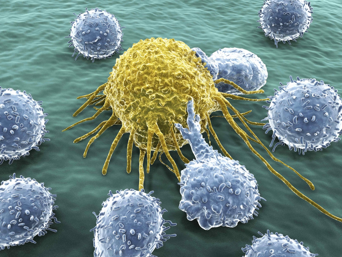 cancer-lymphocytes-lores
