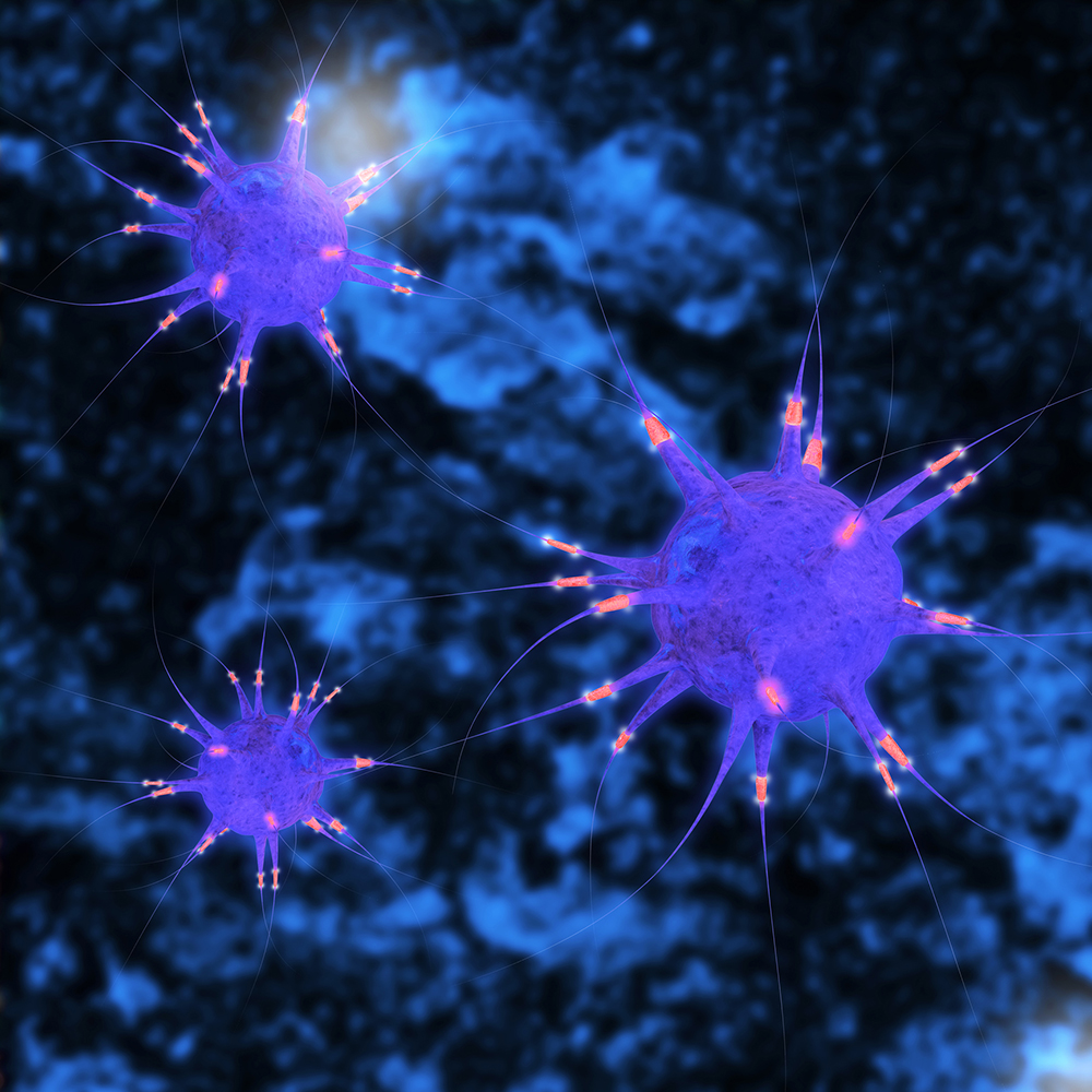 Neurons - 3d rendered illustration