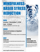 Mindfulness-Based Stress Reduction Program Eng