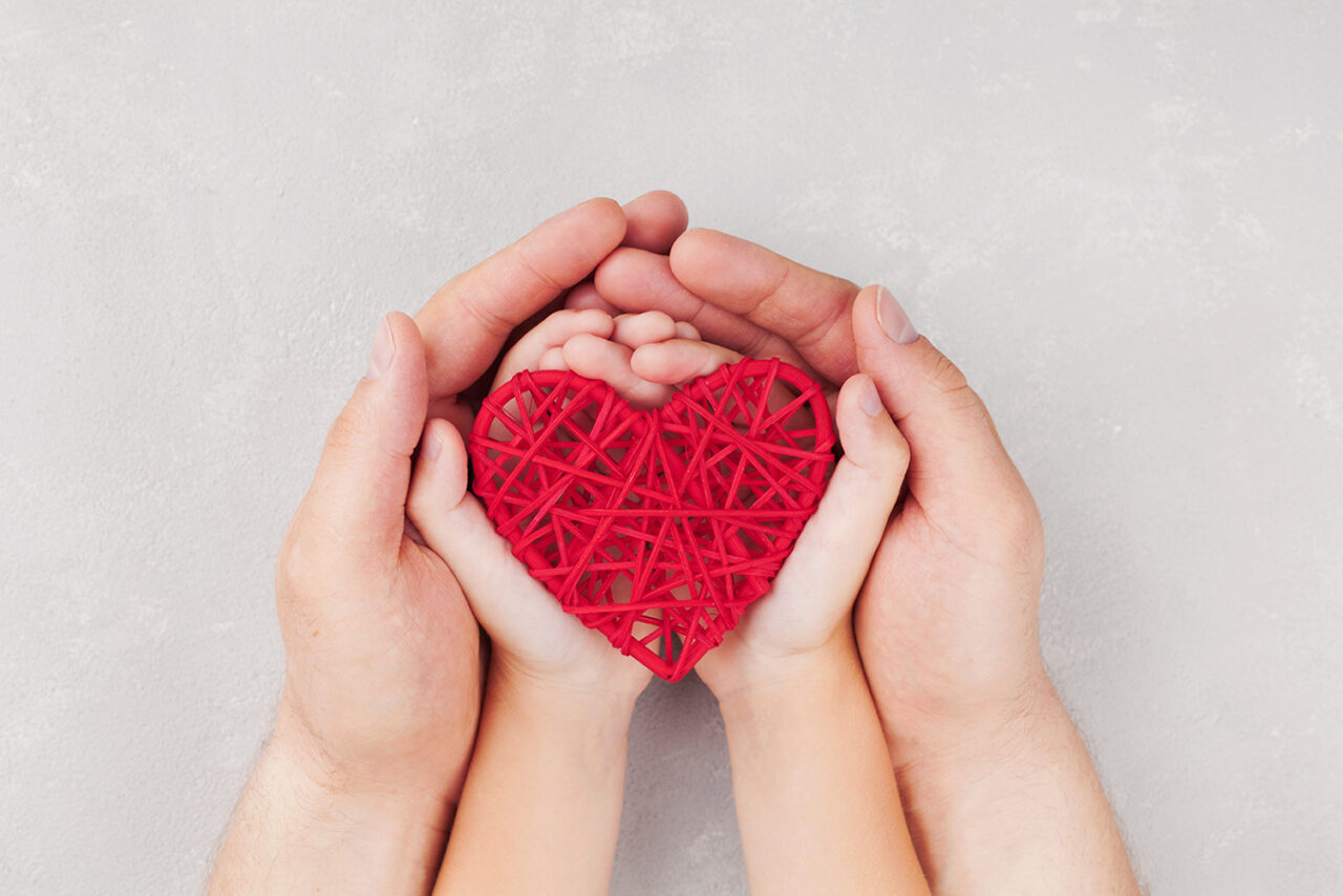 Adult and child holding red heart in hands top view. Family rela