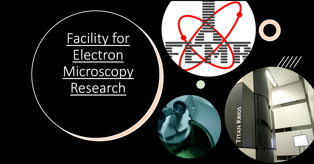 Electron Microscope Facility